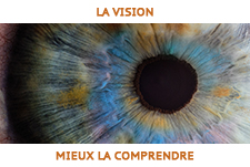 Le grand mystère de la vision - Mieux comprendre l'oeil pour mieux le soigner - partie 1